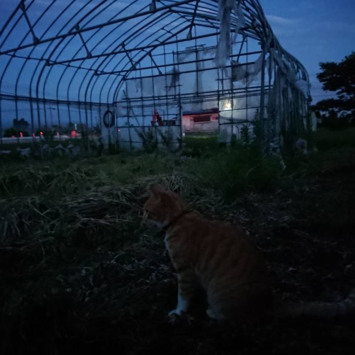 4d874994 db92 4a3c b7d4 9f95dbd9f3c5 1564396440624