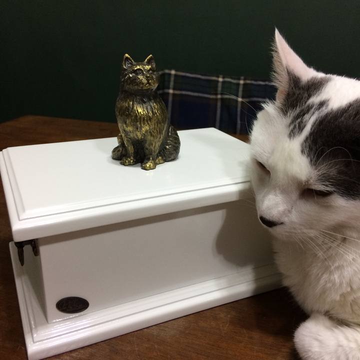 4d874e0c c269 4ab8 95c8 a4797e30fb37 1547518736446