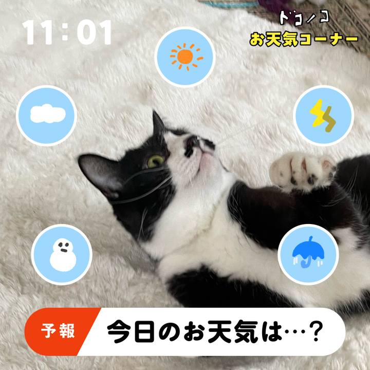 4d8799ea 25f6 45bb b4dd 8aefa22d64cf 1781843145758