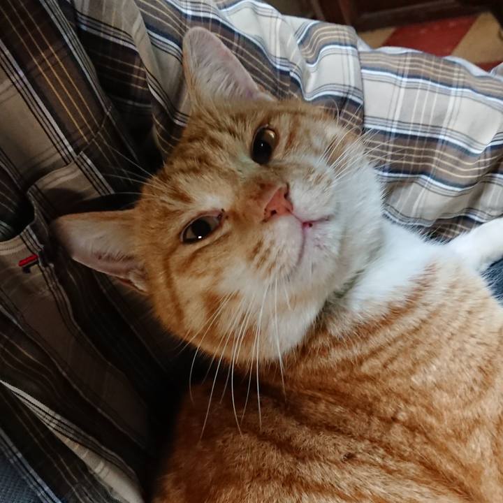 4d879c29 b5bc 4085 9fd0 0158f742d4d0 1580899685329