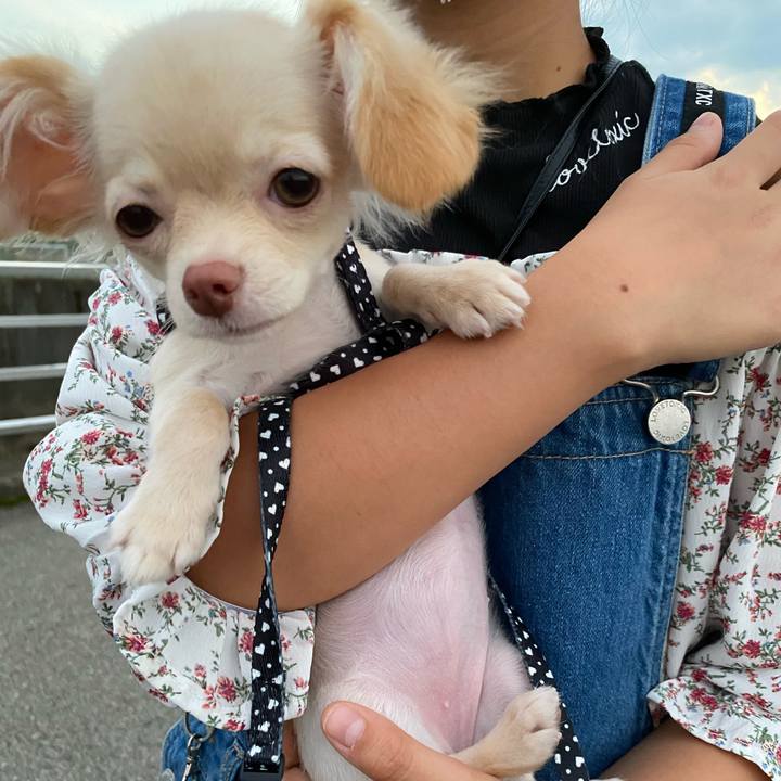 4d87f0c1 2c92 4f3a 853c 40c4fadc667a 1592658839626