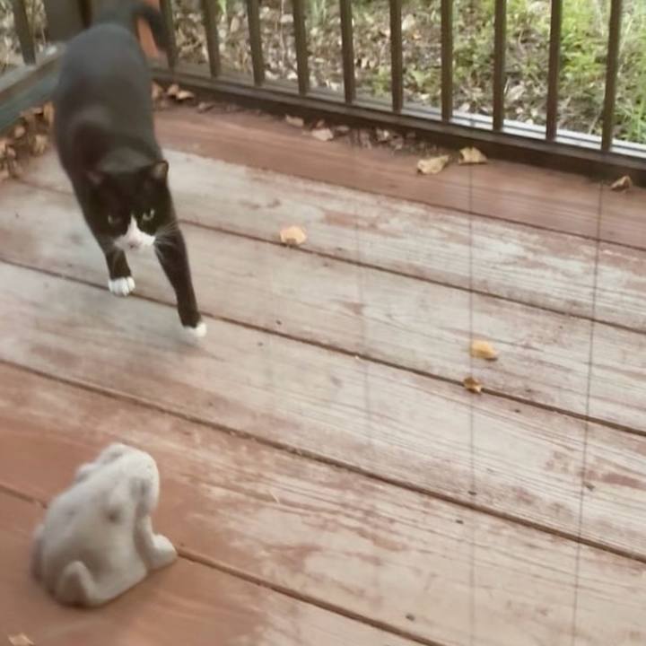 4d87fb65 751a 4875 95b0 75dc9264a951 1761474524414