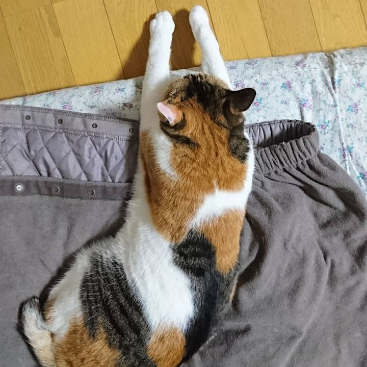 4d880d27 9b5f 4fc2 8e00 e6aa05738652 1553254444930