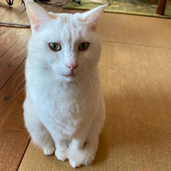 4d88203b 7b29 4be8 9d7b 54a51035e113 1612051284665