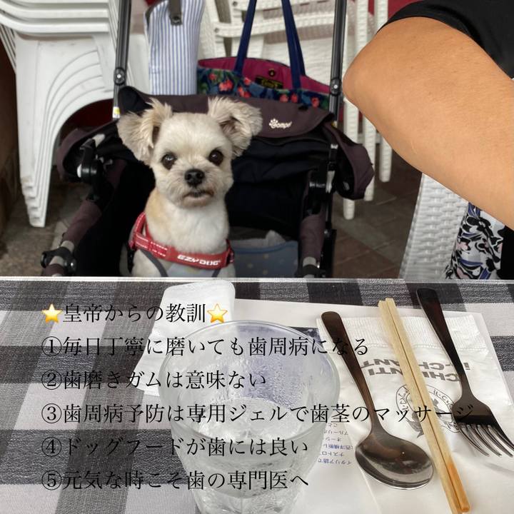 4d882bb0 aa93 4931 9b26 bcdfafbe3782 1664509071506