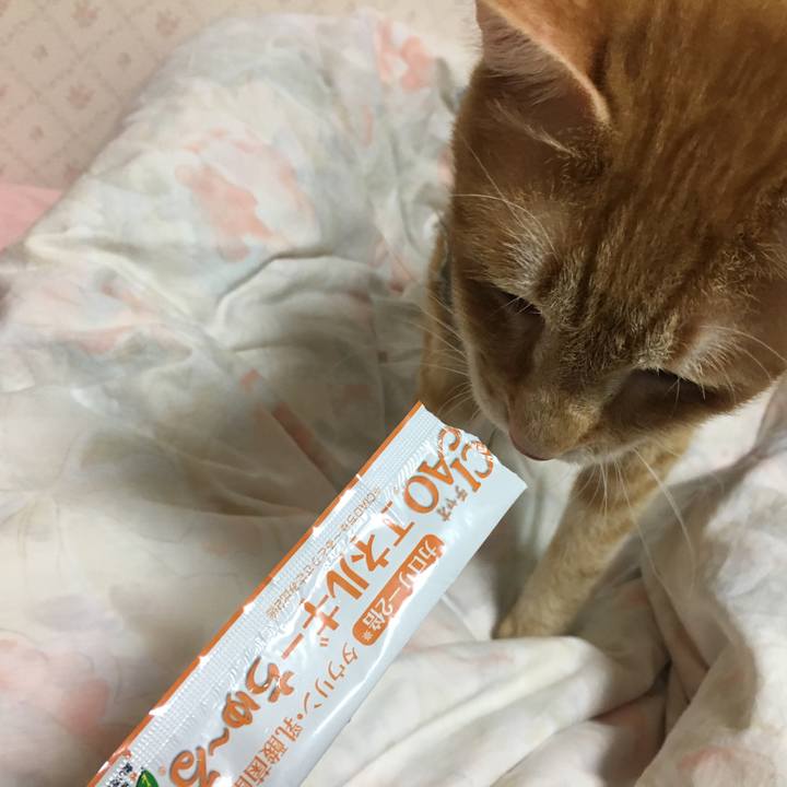 4d8839e1 94dc 42e2 ac87 f6cb0187d46e 1528548648297