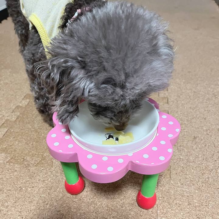 4d886025 d5d8 4964 b2d2 3fbc748eee52 1665561794162