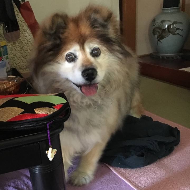 4d889327 5c48 4f84 9a8e ca1a11a9742c 1584902119232