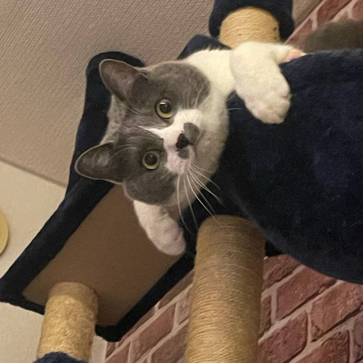 4d889f8c 7384 4eab 8607 c3d0f534fc76 1708680504061