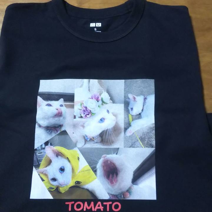 4d88c2c6 27e9 4070 972e 35b56924c2cc 1627734966144