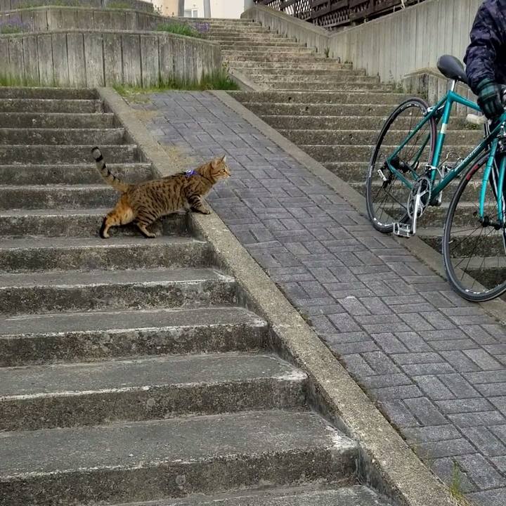 4d88e663 9b2c 4bb5 a0a3 5a5649b6162a 1684852972265