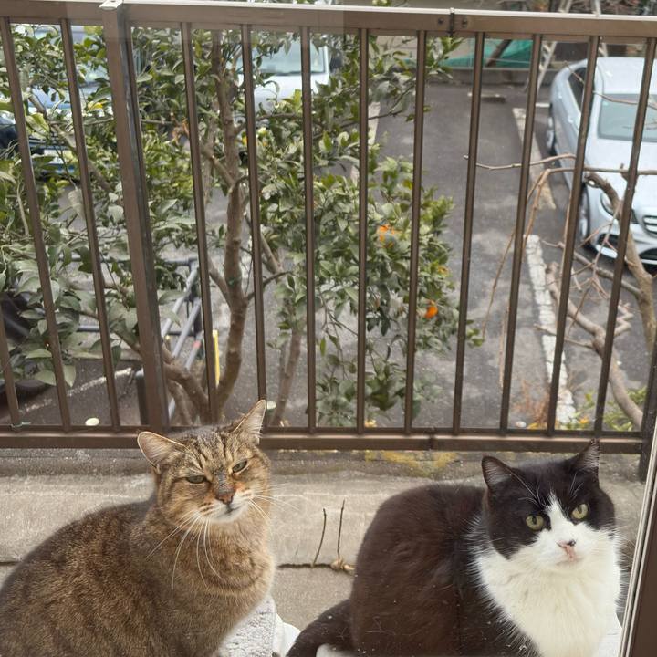 4d88edd3 a3fb 40d4 a396 83077b804f6f 1771286691202