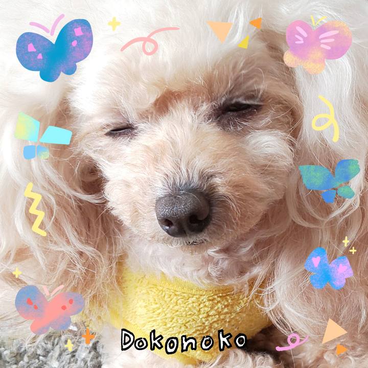 4d88f236 5e93 4023 87ea ee9eb1755df3 1711584029123