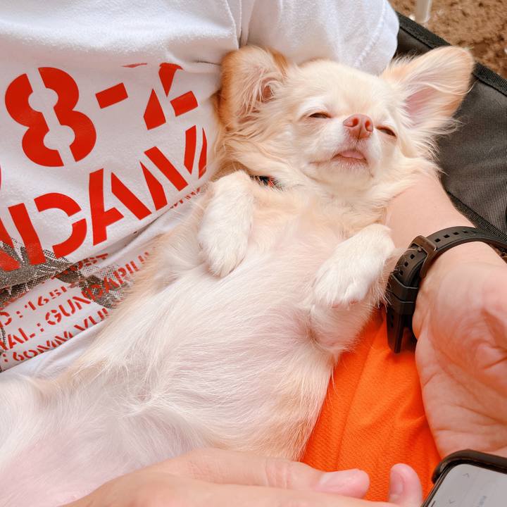 4d893b52 ab29 45bd 88cc c411ba3009f3 1662867539620