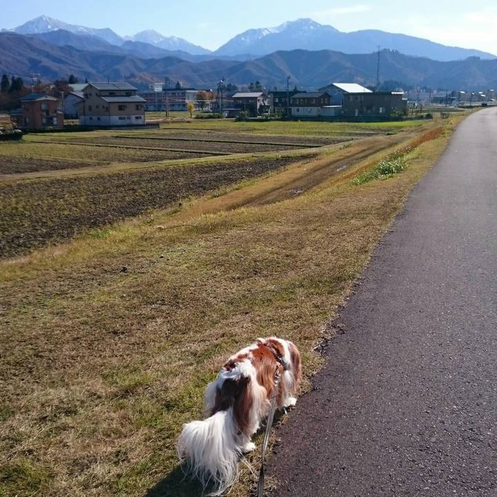 4d89472e 3930 4038 acd5 1f9df28259cc 1542771829840