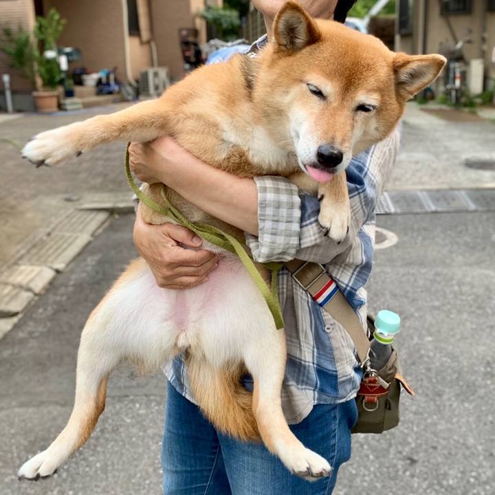 4d8977e6 5280 4da5 a68d b9743be3e524 1561029730196