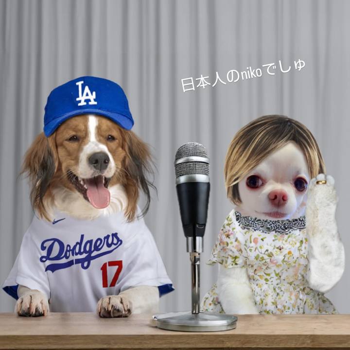 4d8979b5 541a 4f31 a20b 783eeb169be4 1709342602824