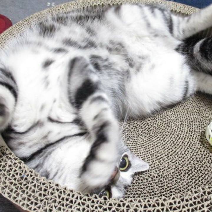 4d899169 53ed 4a35 b8f8 7080e3b6c4d1 1540291475181