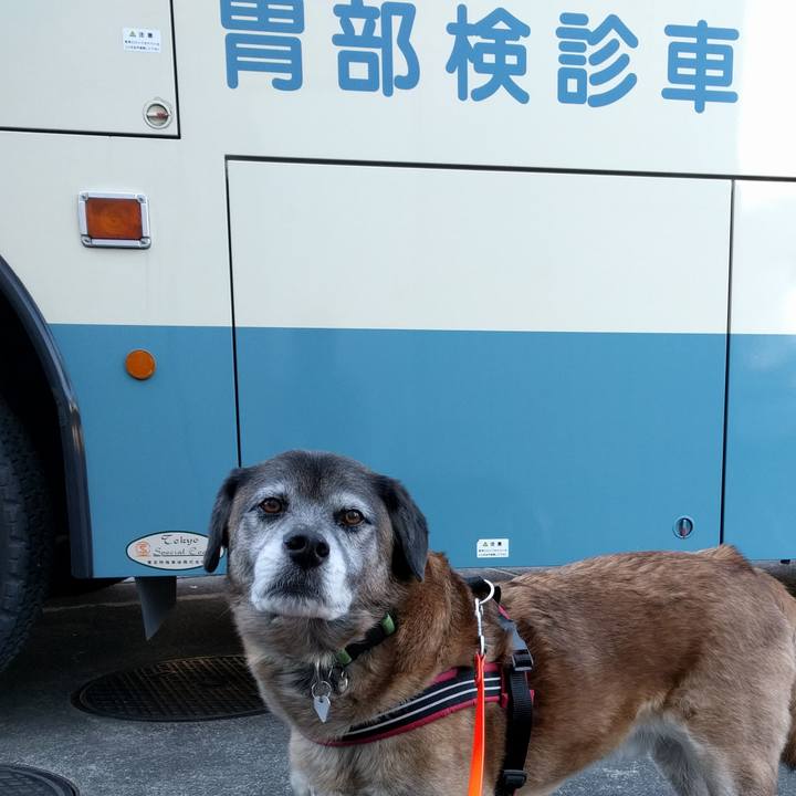 4d89aef7 a700 4b2e a088 4219708326b1 1517962540902