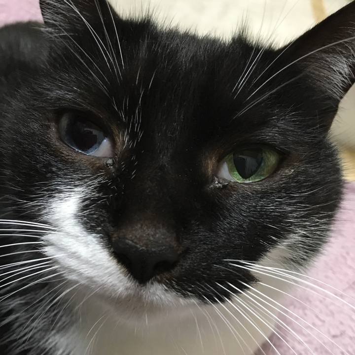 4d89b865 8e69 46a3 a2f0 a44ee53a0a79 1523021280368