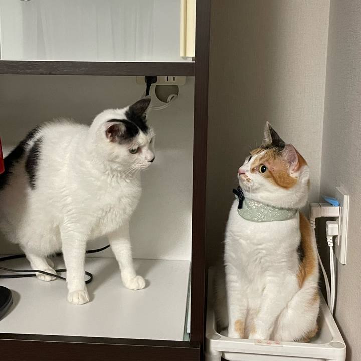 4d89cca4 162e 4f55 b23b 14f0de823e78 1664198451768