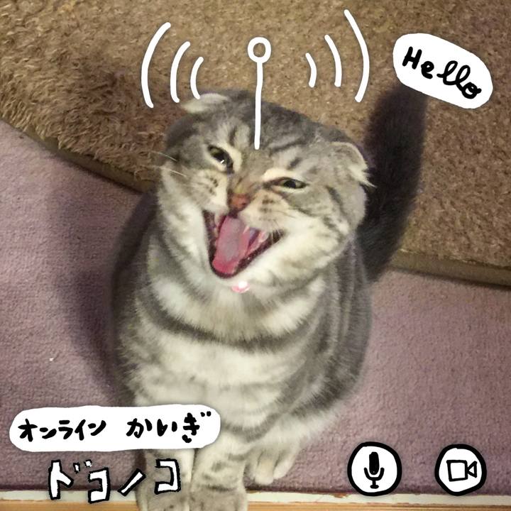 4d89ecce 7fa1 4d74 ac80 3415845e7e35 1590729944269