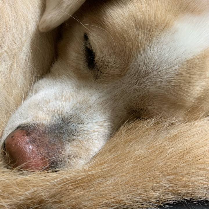 4d89f4d3 c02a 4644 9f8a d72cf3fe4409 1607175355819