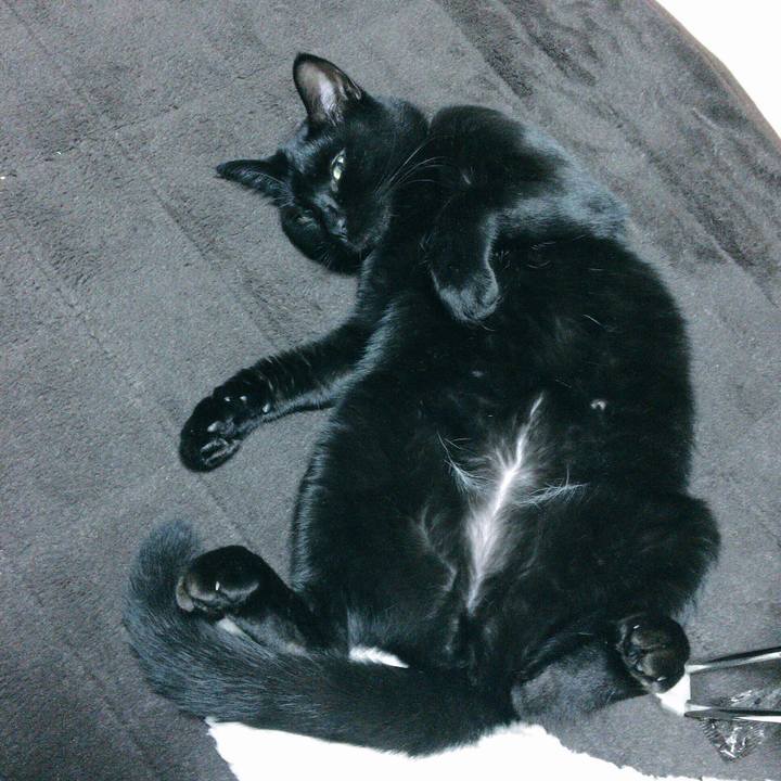 4d89f8a9 6e03 435f 9d01 a17cb24ec979 1512053102228