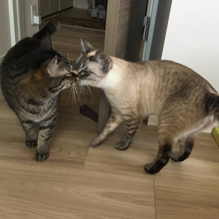 4d8a1ee8 df41 4763 b546 71bc9fdc6378 1585963882273