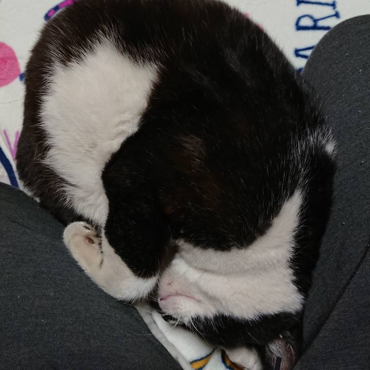 4d8a32c6 d72c 4b59 9b78 b0b5f7e83dbc 1637830293660