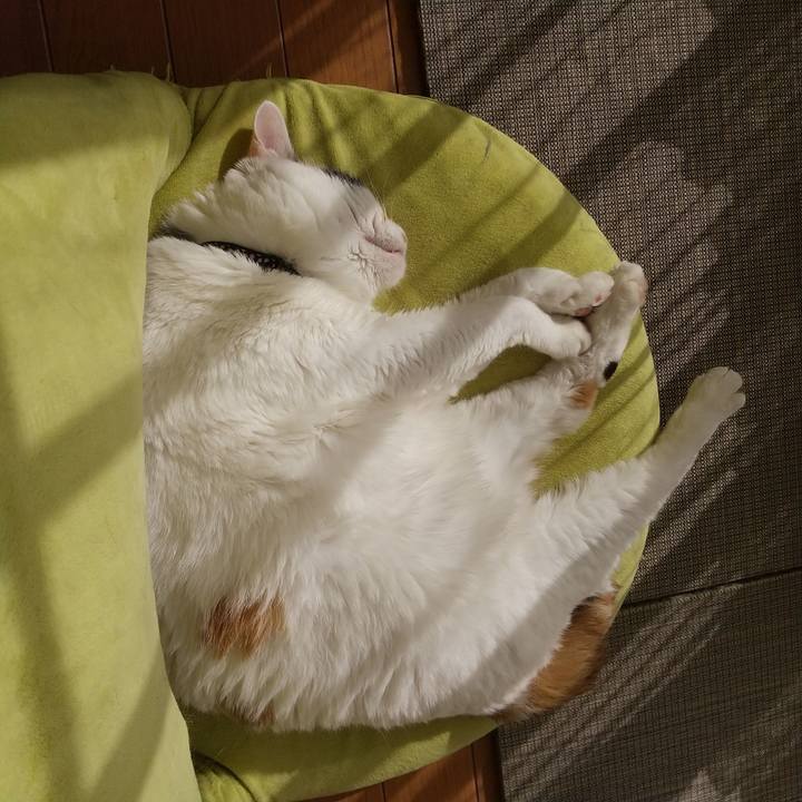 4d8a5833 6034 4011 8048 4fee0d26ec7e 1604364466414