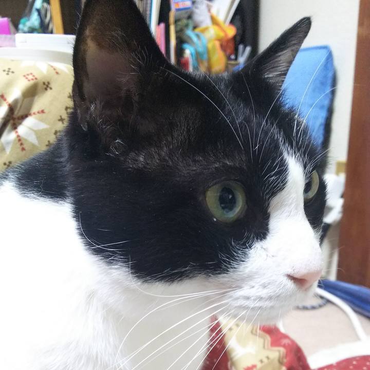 4d8a6d5e 9385 4e91 ba0b 4a6be143fb3d 1547252480525