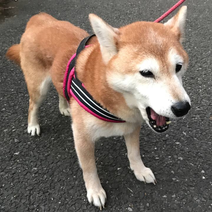 4d8a95cb 9ad6 4440 9ebb fd6a9a52da19 1518341656537