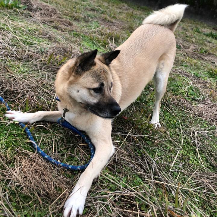 4d8ab93b 9675 449d 9cc2 e64ff8c1c04e 1581936385143