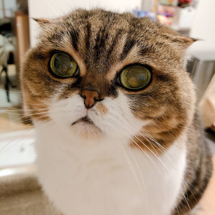 4d8adcc3 21bd 44c0 9baf 2b4eca09839a 1582755901823