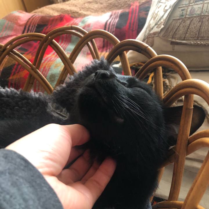 4d8b072d b16d 4e51 9ac3 fb1e8527db8f 1585526933176