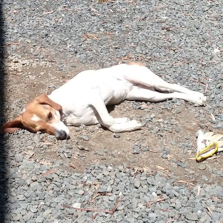 4d8b2d85 1cde 4761 94d1 c8980163ef12 1589172052961