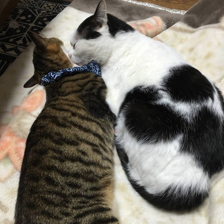 4d8b2f0e 943c 4600 aea2 f109456ce0d4 1515942330500