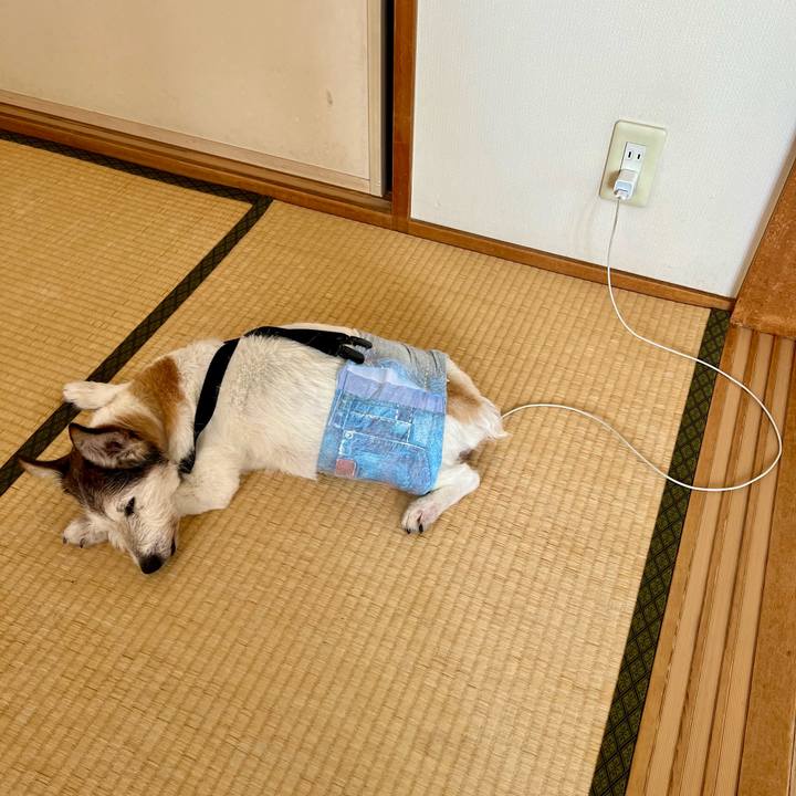 4d8b3352 6653 4cd2 ab46 37cf7c0d55b8 1760074547112