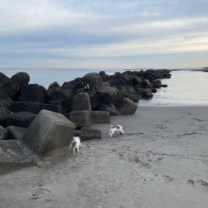 4d8b597c 8bf9 48f7 84a8 946b4fbf1e2a 1772150257145