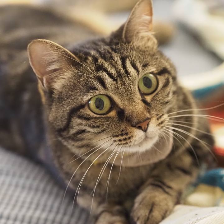 4d8bddff ded2 46c7 821f 88e6534dc393 1690091892268