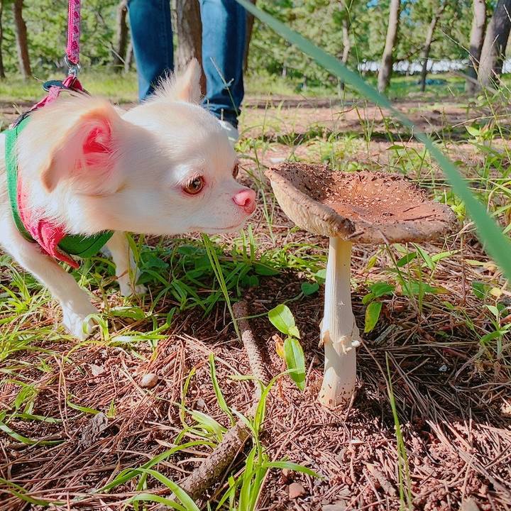 4d8bead4 052b 4ac8 95fb f8d8d8c09b20 1632135190388