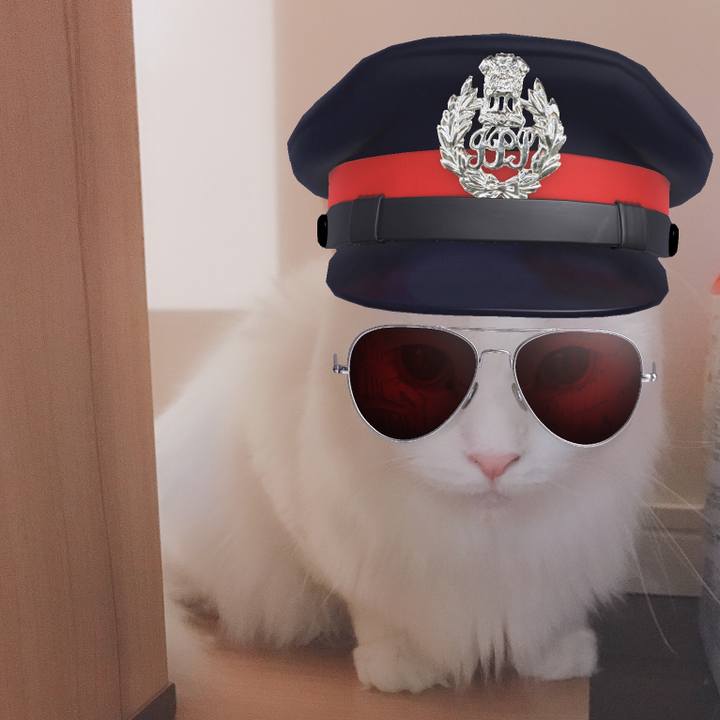 4d8bf320 1815 4e42 9564 d9329d64d52b 1566652537093