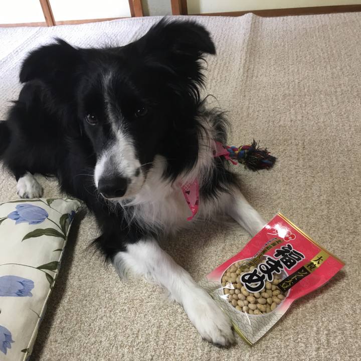 4d8c2f8a 9629 4fdc a300 1de89210262a 1517617918259