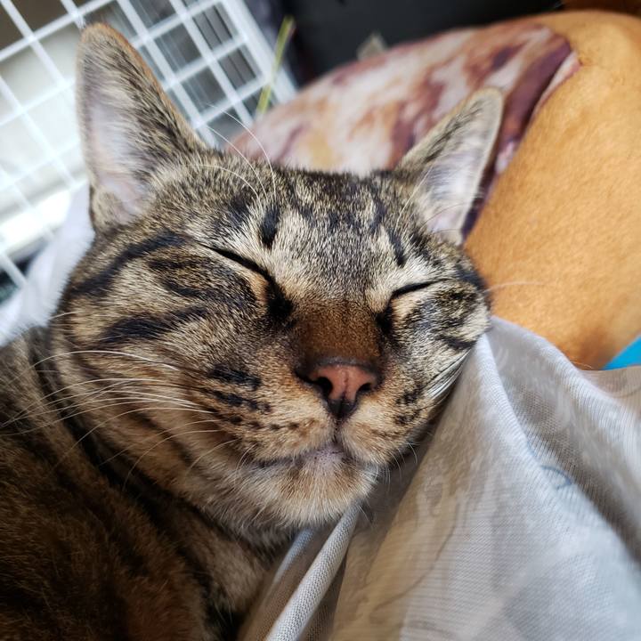 4d8c59fe fac1 4947 910e 2ab324d090ba 1558743050848