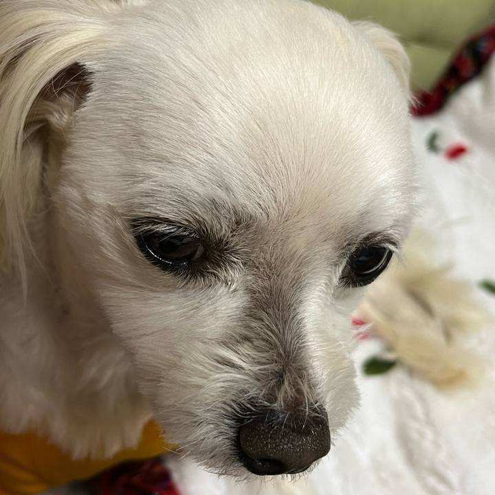 4d8c8c85 b07f 4e58 84b2 548869b58168 1678452681564