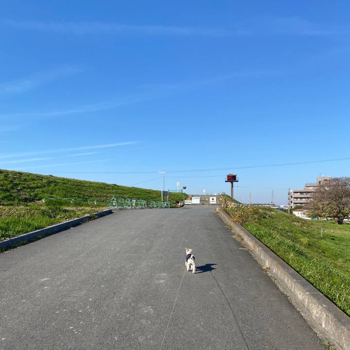 4d8cc53d 749d 499c 9684 48923d974ac6 1576479479831