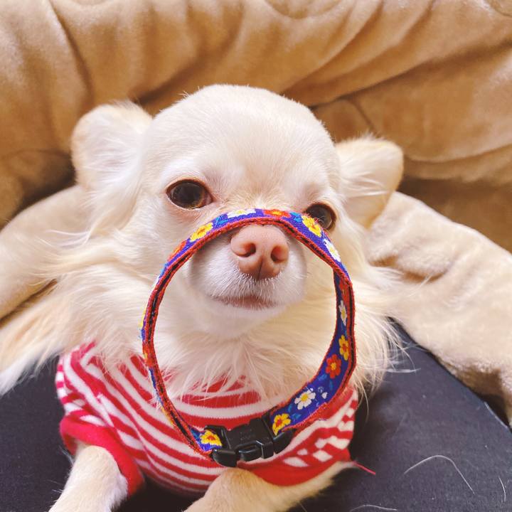 4d8ccd75 10ae 4283 b267 1cd5a960d3c8 1641892680952