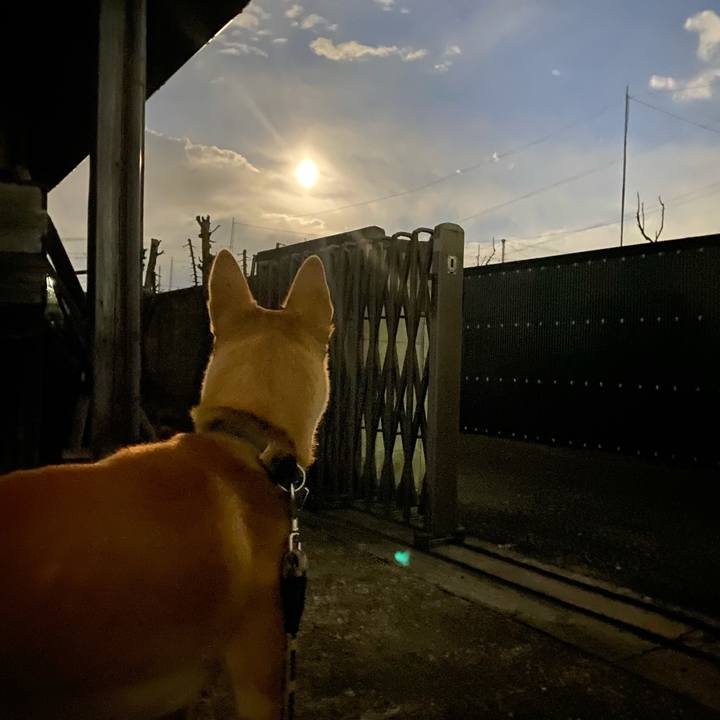 4d8ce701 1f10 4360 8cff a95ca0d4fa2f 1645007815682