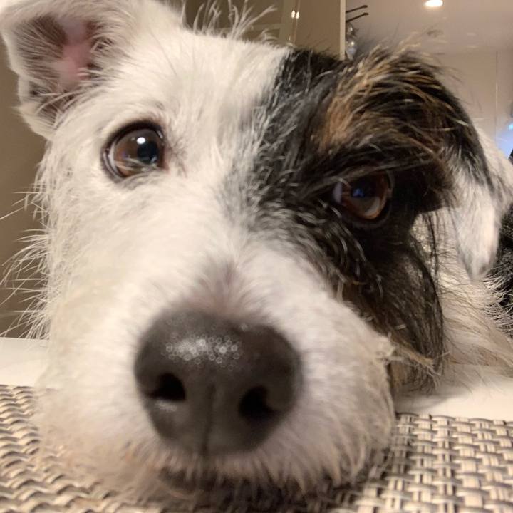 4d8d004f f9a9 40f5 8e56 b08b9527657c 1634980289819